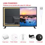 Flexible COB LED Strip No Dots 5V DC 2700K - 6500K White Dimmable USB Powered
