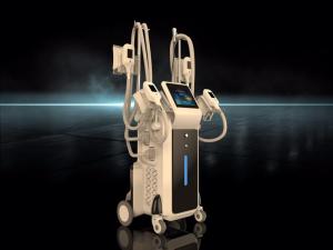 China cryotherapy machine Fat Freezing Cellulite reduction 4 cryo heads / Newest cryolipolysis slimming machine factory