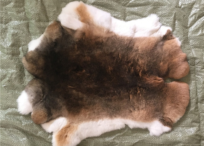 Natural Chinchilla Rex Rabbit Fur , Soft Genuine Sheared Rabbit Fur Jacket Hide
