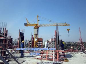 China Small Inner Climbing Tower Crane 0.7t Load 10m Height 440V/60Hz Specification factory