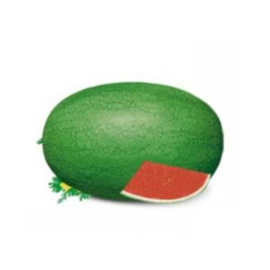 Light green rind Organic Watermelon Seeds with netted stripes