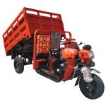 China 300cc BestSale HeavyLoadingDeliveryCargoPetrolTypeThreeWheelMotorbikeBenzi