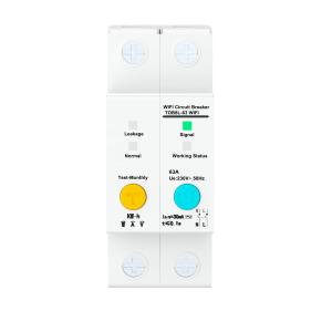 China Intelligent WIFI Circuit Breaker with 2Poles 63A factory