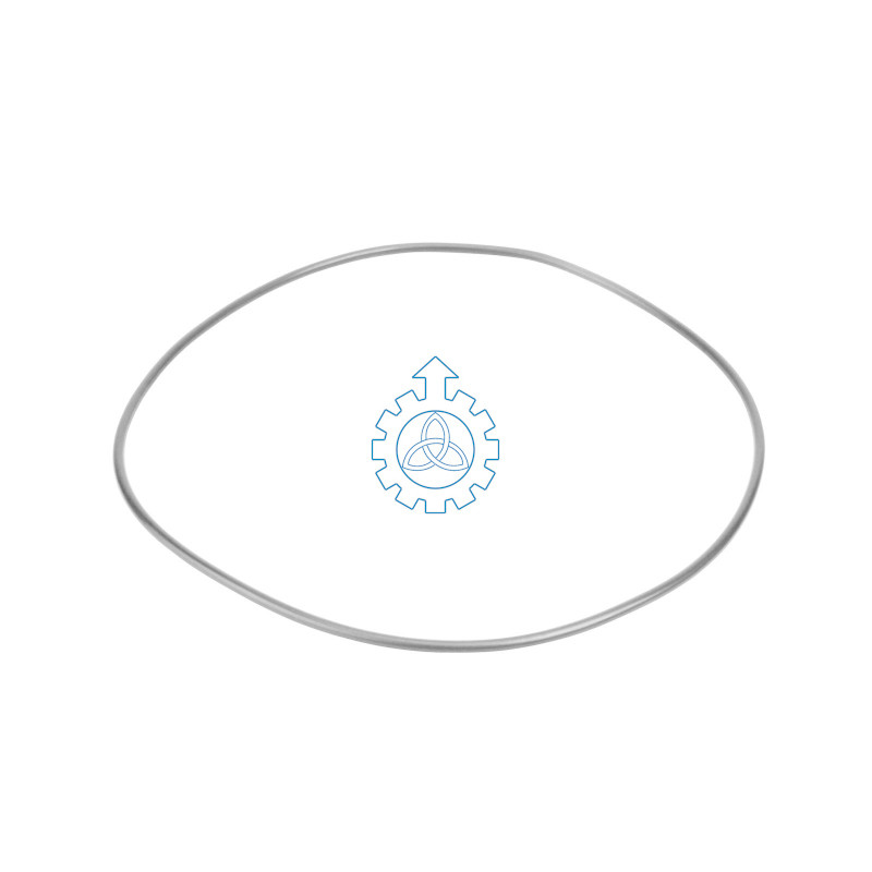 o-ring 5003065168