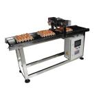 E5 CIJ TIJ Date Printing Egg Belt Conveyor stepping motor driven