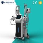 Professional four cryo handles cryolipolysis slimming machine for lose weight