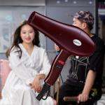 Multifunctional AC 2600 Watt Blow Dryer , 50Hz Portable Travel Hair Dryer
