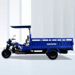 DAYANG 300cc Gas Powered Trike Trimoto Carga Cargo Tricycle for Open Transportat