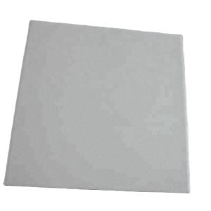 China Henan Refractory Bricks 300*300mm Acid Resistant Brick for Food Processing and Dairy Plants factory