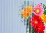 Furniture Decorative Patterned Glass 5mm Thickness Clear Millennium Embossed