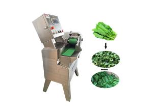 China 220v 50hz 0.37kw 500kg/H Vegetable Cutter Machine factory