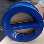 Ductile Iron Stainless Steel SS304 CF8 pn16 bs din swing Stop Duo Dual check