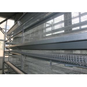 3 Tiers Chicken Layer Equipment / Galvanized Chicken Farm Poultry Equipment
