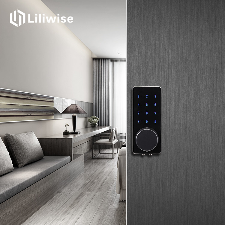 Smart Room Bluetooth Front Door Lock , Intelligent Zinc Alloy Password Front Door Locks