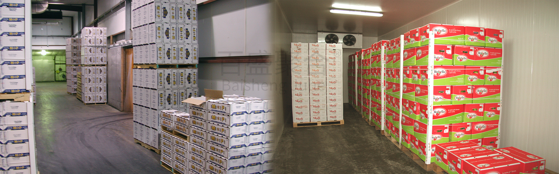 Light Steel Q355 Q235 Walk-in Cold Storage Room 20ft 40ft Container Bending Service