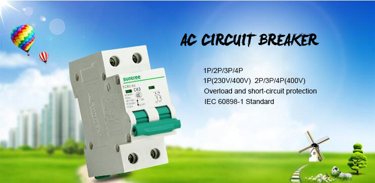 IEC60898 SUNTREE 2Pole 63Amp AC Circuit Breaker