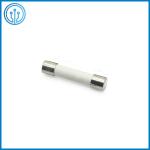 TUV UL PSE Ceramic Tube Miniature Cartridge Fuse 614 30A 250V With Axial Lead
