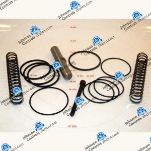 China York compressor 02529583000 Thrust Bearing, LoSpeed factory