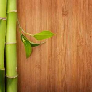 China Carbonized Wood Timber Flooring Standard Bamboo Wall Panel Solid Bamboo Flooring factory