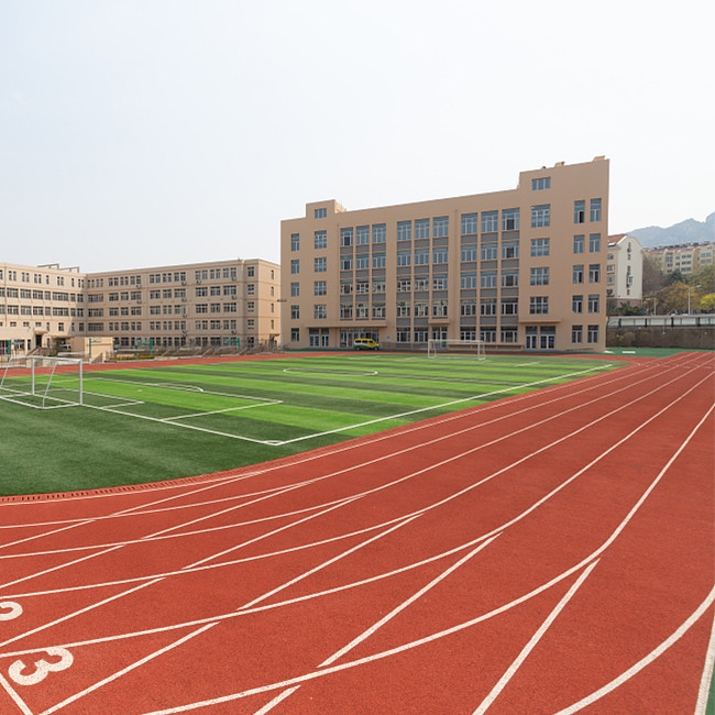 IAAF Epdm Plastic Outdoor Jogging Track Seamless Colorful 13mm