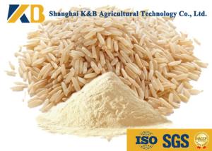 China Food Grade 80% Hydrolyzed Brown Rice Protein Nutrition Daily Fitness Use factory