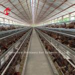 Uganda 4 Tiers Poultry Layer Cage For Sale Farm Chicken 100 KG Mia