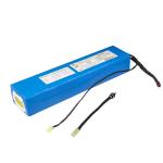 ROSH 48V 20Ah Rechargeable Lithium Battery Packs