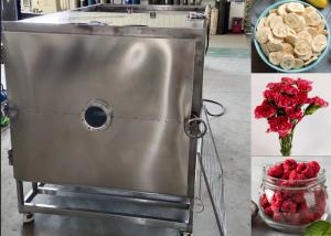 China Large Food Vacuum Freeze Dryer Machine Lyophilizer Equipment factory
