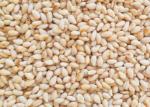 High Iron Calcium Organic Agricultural Products White Sesame Seeds 5% Moisture