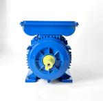 Single Phase AC Induction Motor YL801-4 - 550W 1400RPM 220V 50Hz