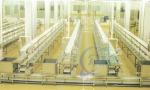 Customization Stainless Steel Frame Food Processing Assembly Line Belt Conveyor