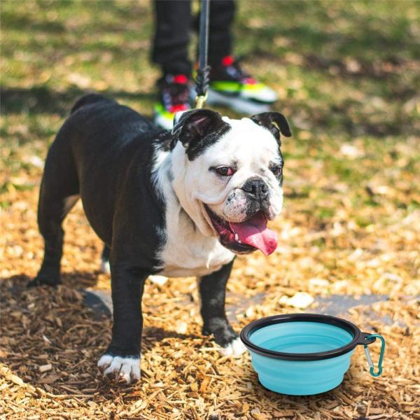 Collapsible Pet Bowl Dog Bowls 2 Pack Portable Silicone Pet Feeder Dog Cat Food