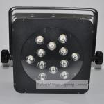 12x10W RGBW 4in1 LED Flat Par 64