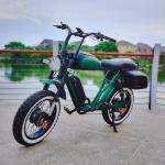 20 Inch Dual Motor Electric Bicycle 7 Speed Full Color Display Fat Tyre Electric