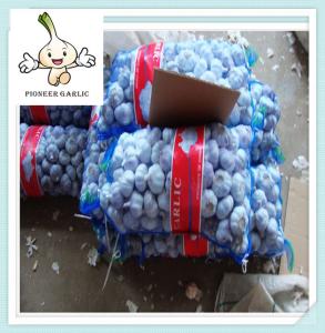 China 2016 Jinxiang new crop fresh garlic Chinese fresh normal white garlic good price factory