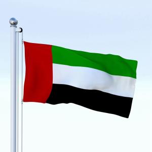 China The United Arab Emirates Flag 90x150cm knitted polyester national flag outdoor canvas header with grommets factory