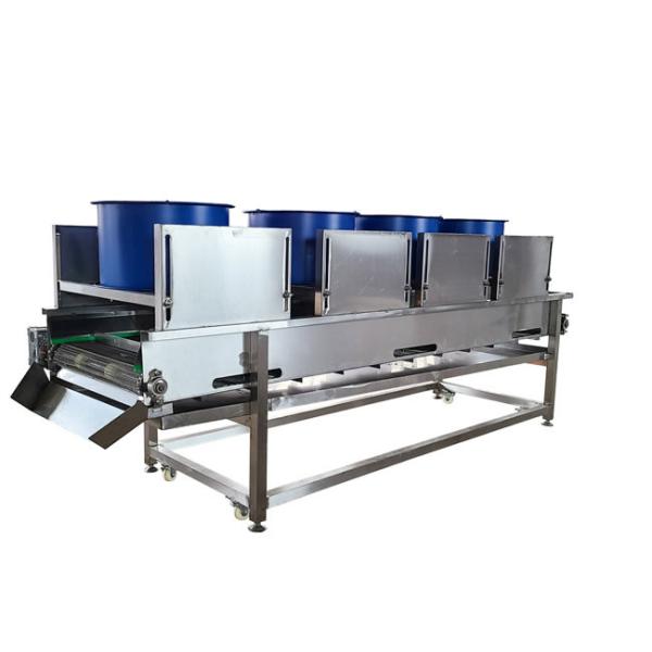 China Commercial Deoiling 50HZ Vegetable And Fruit Dryer Machine 800mm Width factory