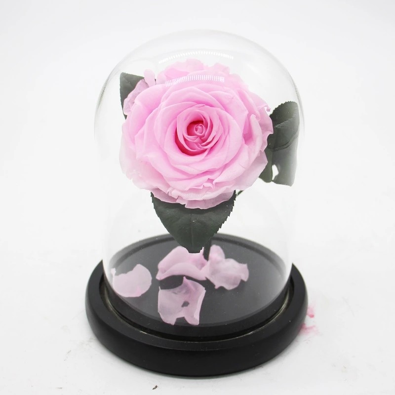 Real Preserved Forever Rose, Eternal Rose, Galaxy Rose, Preserved Flowers Flower Crafts Preserved roses