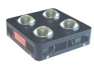 China Herbs LED Indoor Grow Lights 504 Watt Easy Installation With ROHS Certification factory