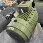 IE3 15HP DC Electric Motors High Efficient Low Vibration