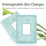 Fine Pore Beauty Mask Antioxidant Lithospermum Mask Moisturizing Whitening