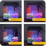 Saltwater 4 Litre Hygger Aquarium Fish Tank