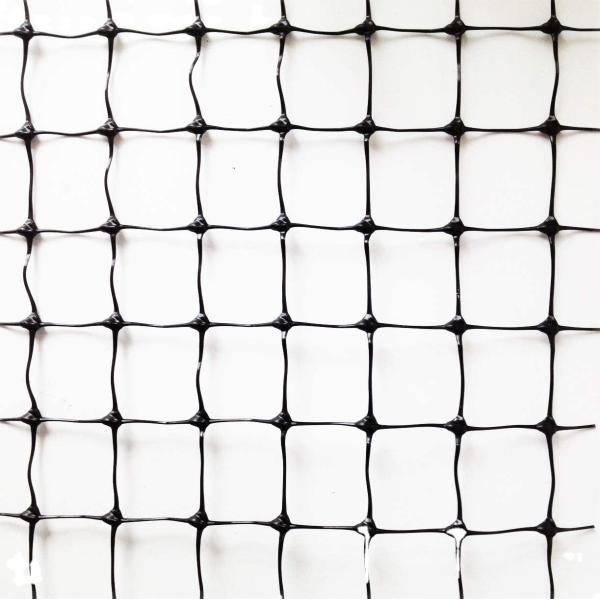 Customized Length 25 X 50 FT Bird Netting for Poultry and Plant Protection in