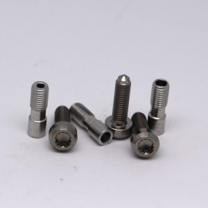 WLL CNC Stainless Steel Parts Customized Titanium Micro Screws