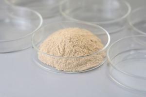China 100000-800000U/G Esterification Transesterification Lipase Powder / Liquid factory