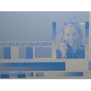 Double Emulsion Layer Solvent Resistant CTP Plate