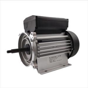 China 300-700W Electric Water Pump Motor Single Phase 3000rpm For Spa And Bathtub Pumps factory
