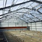 Led Grow Lighting Single Tunnel Greenhouse Agricultural Auto Light Dep Blackout