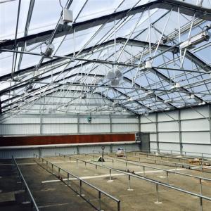 China Led Grow Lighting Single Tunnel Greenhouse Agricultural Auto Light Dep Blackout Greenhouse For Mushroom Growing factory