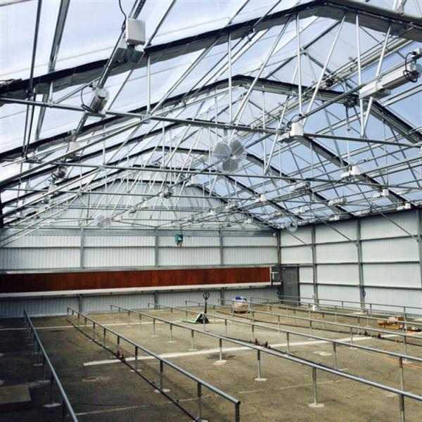 Led Grow Lighting Single Tunnel Greenhouse Agricultural Auto Light Dep Blackout